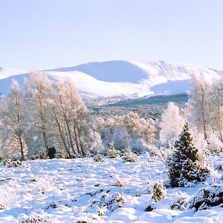 ネシー・ブリッジPtarmiganアパートメント エクステリア 写真